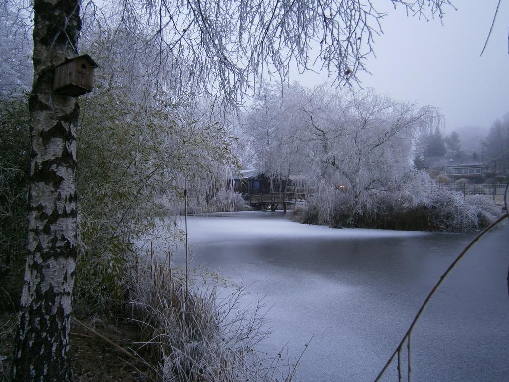 Le Chalet Pre De La Fontaine Paliseul Εξωτερικό φωτογραφία